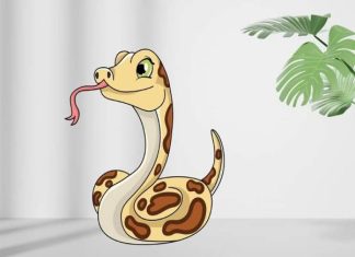 Tổng quan vận trình ngày 20/4/2026 tuổi Tỵ