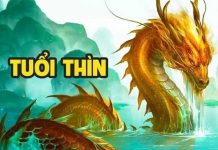 Con số may mắn ngày 22/5/2026 tuổi Thìn mang tài lộc đến