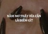 Nằm mơ bị đỉa cắn chân cắn tay là điềm gì, có số nào đại cát?