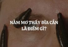 Nằm mơ bị đỉa cắn chân cắn tay là điềm gì, có số nào đại cát? Nằm mơ bị đỉa cắn chân cắn tay là điềm gì, có số nào đại cát?