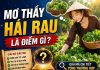 Nằm mơ thấy hái rau là điềm gì, có số gì lộc phát Nằm mơ thấy hái rau là điềm gì, có số gì lộc phát