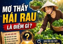 Nằm mơ thấy hái rau là điềm gì, có số gì lộc phát Nằm mơ thấy hái rau là điềm gì, có số gì lộc phát